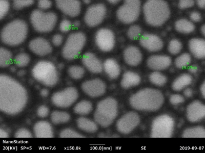 EM-30N金群岛的分辨率证明图像 -  20kV的150,000倍