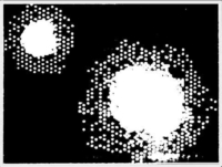 硅胶原子在150微米