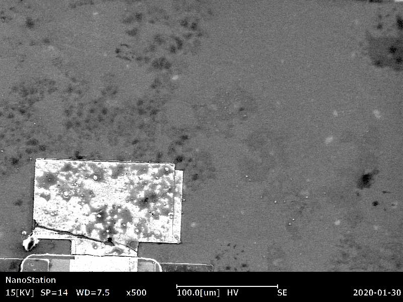粘接垫SEM图像等离子清洗后