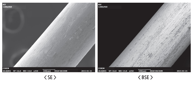 比较SE和BSE图像的桌面扫描电镜